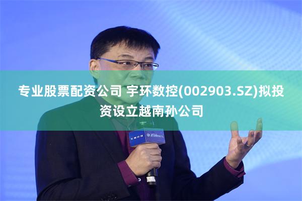 专业股票配资公司 宇环数控(002903.SZ)拟投资设立越